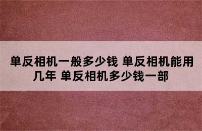 单反相机一般多少钱 单反相机能用几年 单反相机多少钱一部